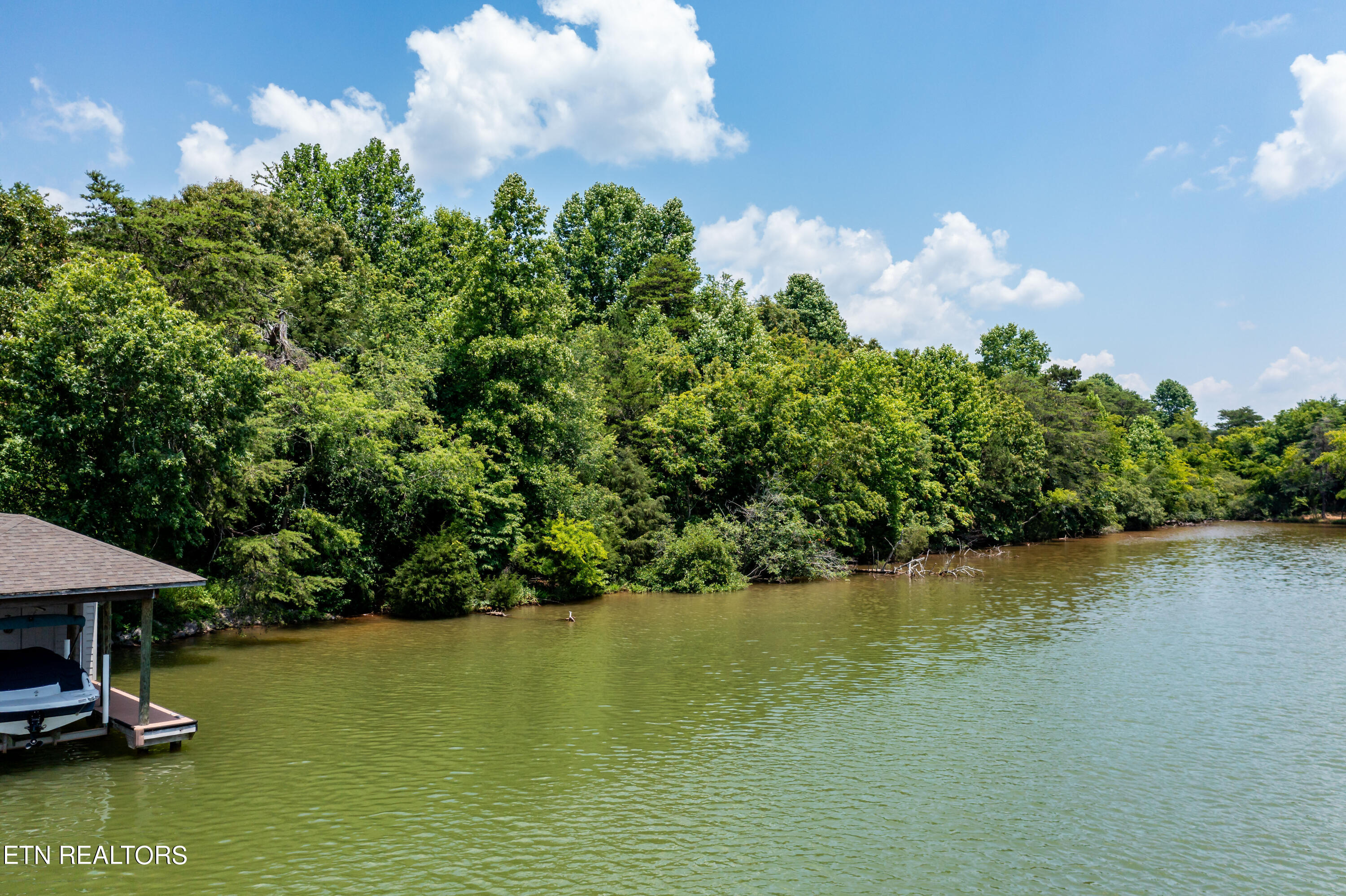 430 Marsh Hawk Drive Vonore TN 37885