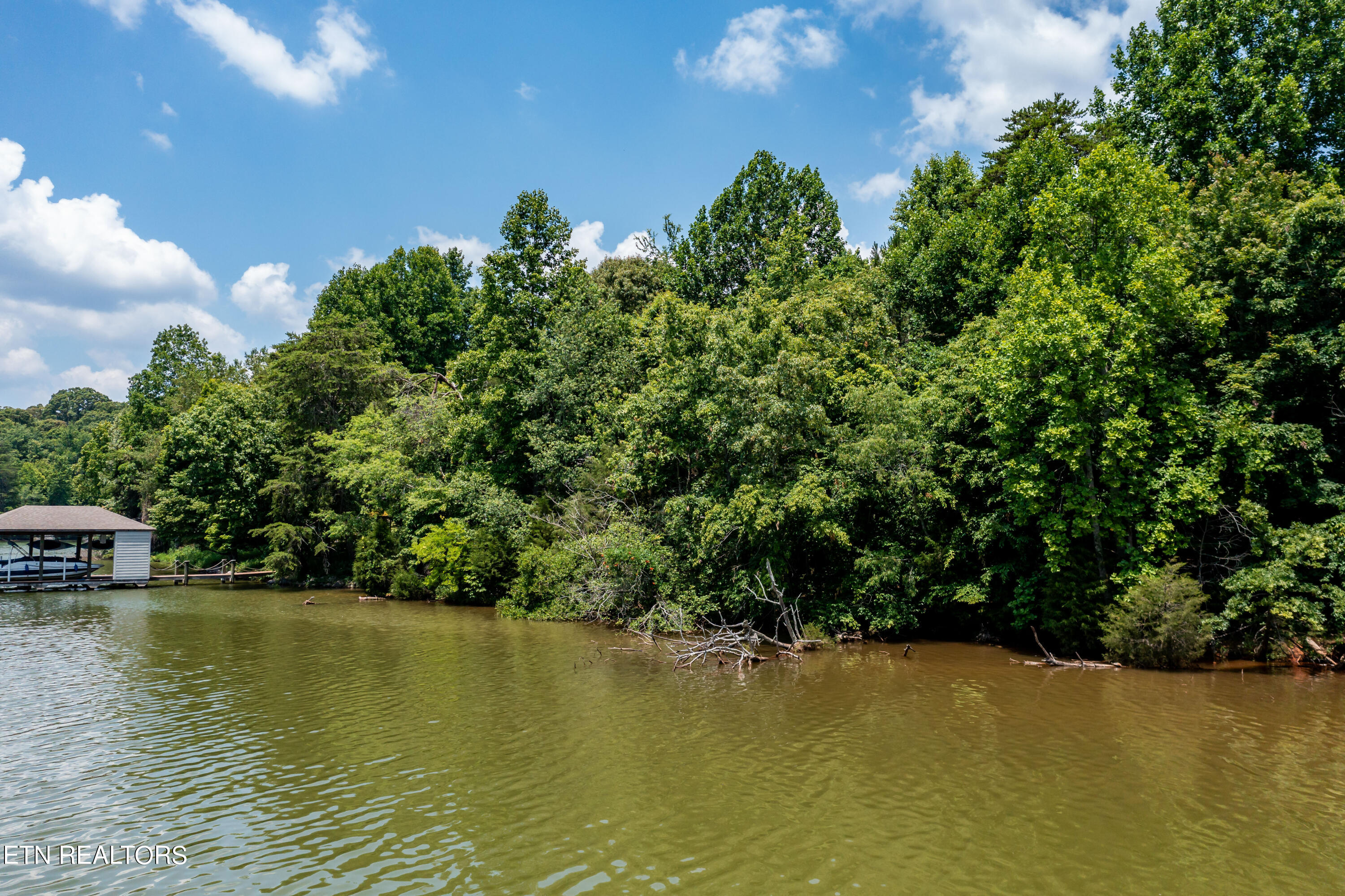 430 Marsh Hawk Drive Vonore TN 37885