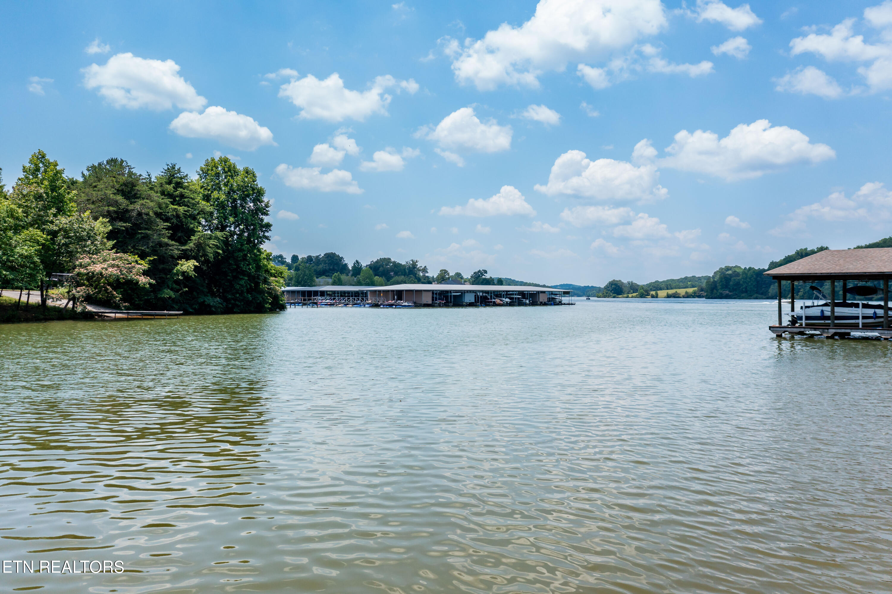 430 Marsh Hawk Drive Vonore TN 37885