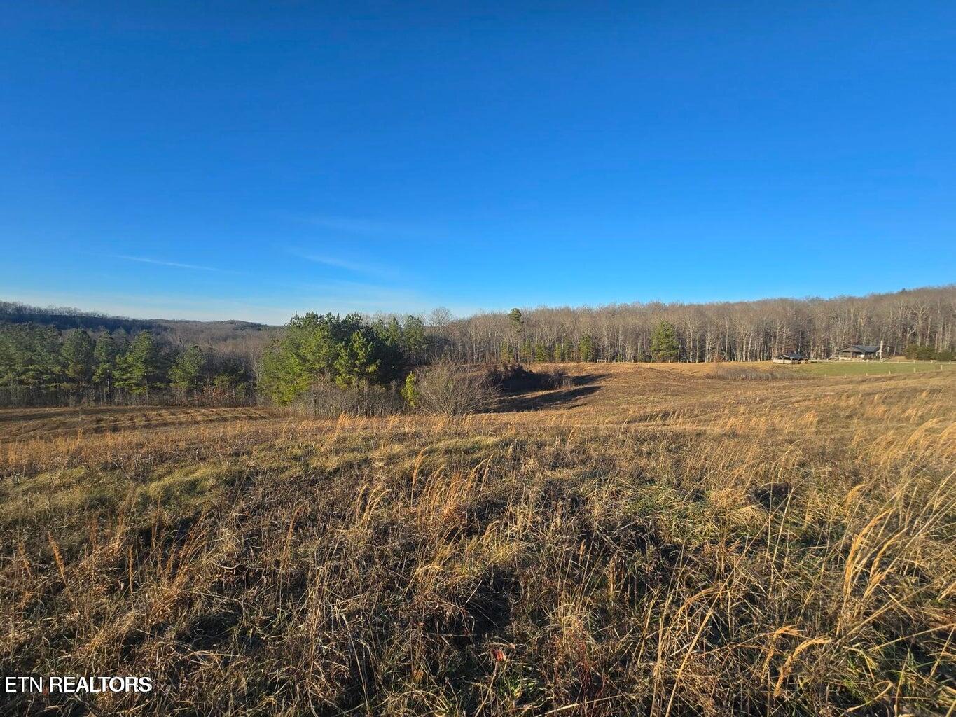 Lot 2&3 Honey Creek Loop Road Robbins TN 37852