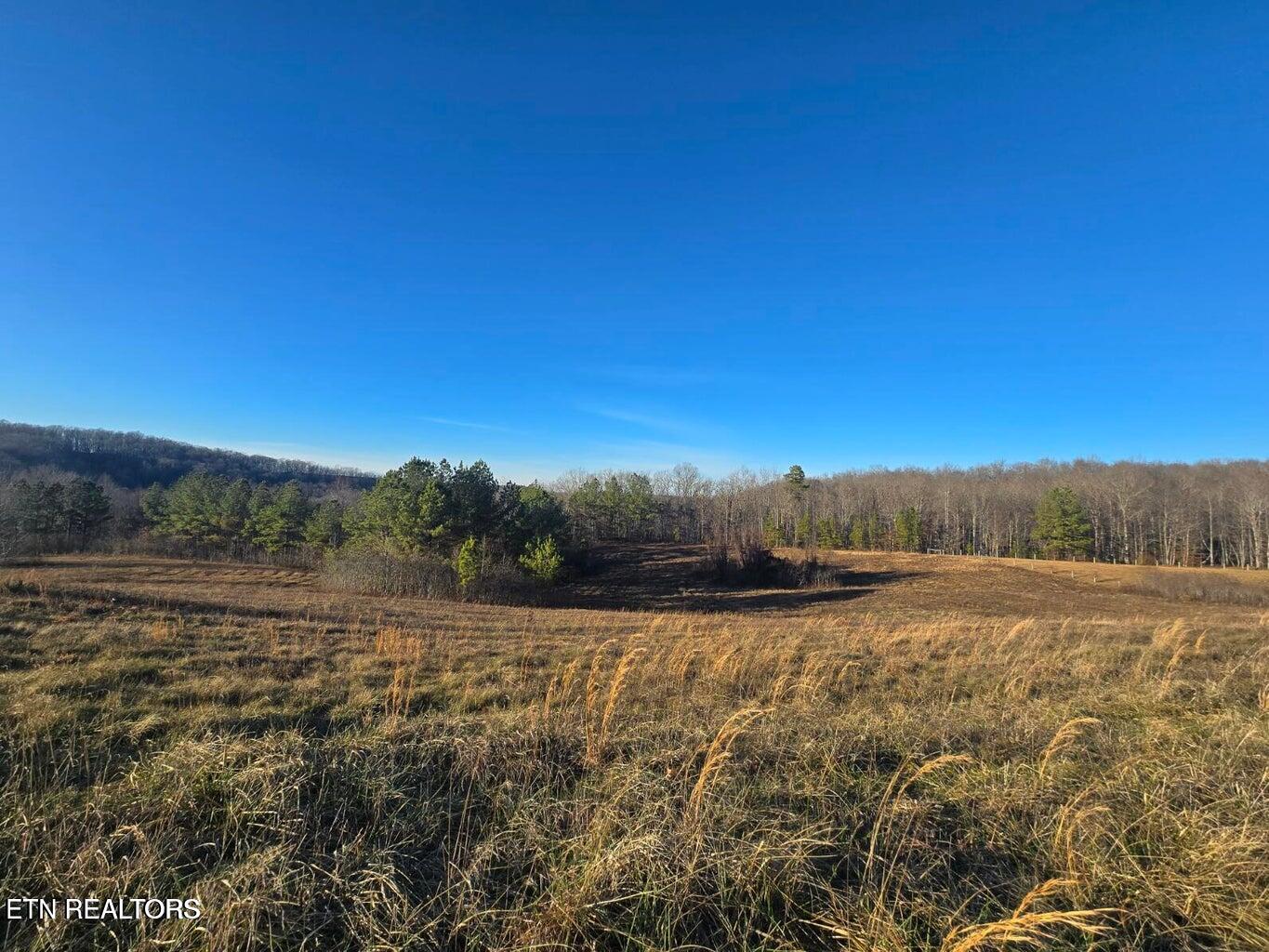 Lot 2&3 Honey Creek Loop Road Robbins TN 37852