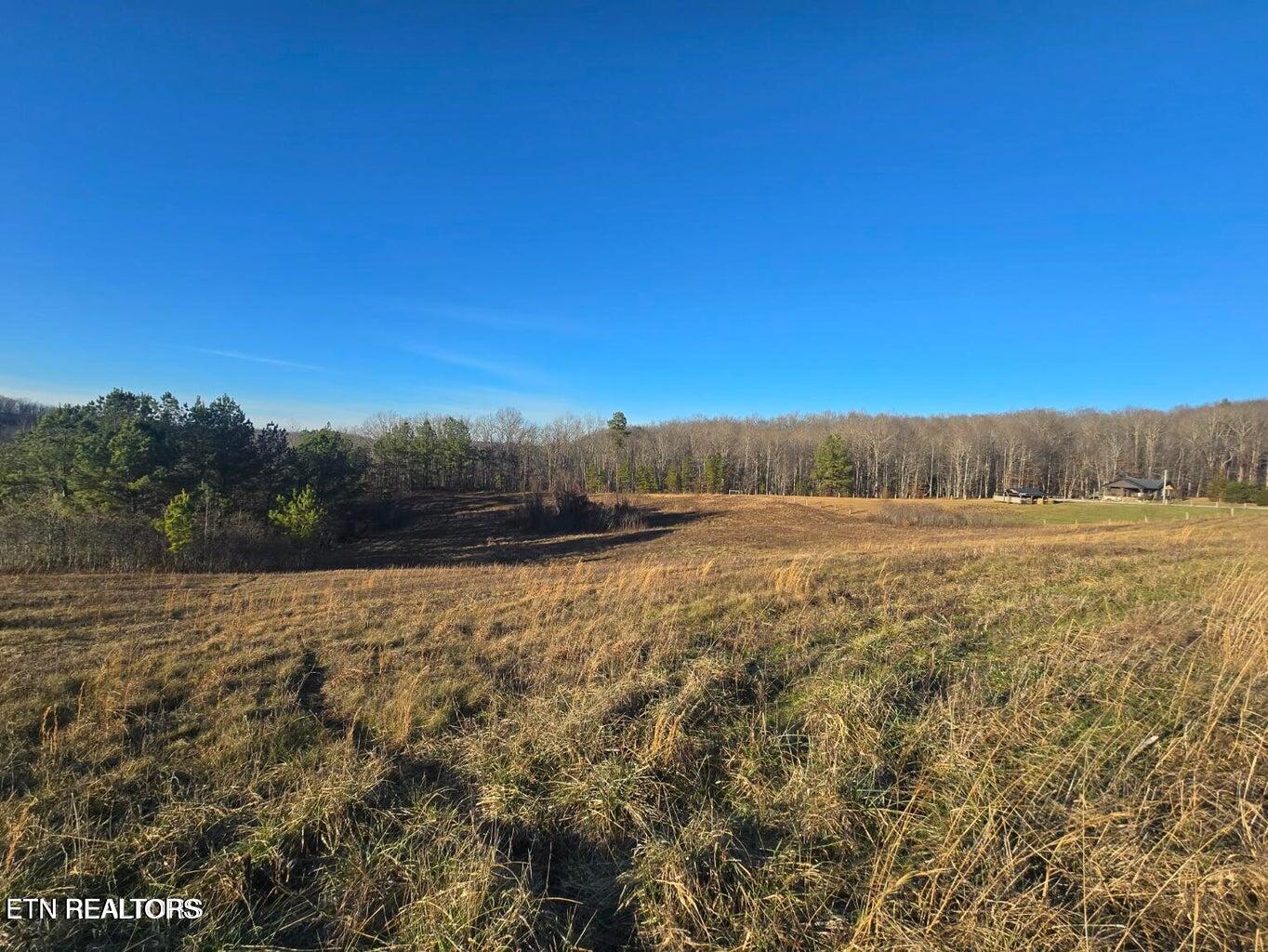 Lot 2&3 Honey Creek Loop Road Robbins TN 37852