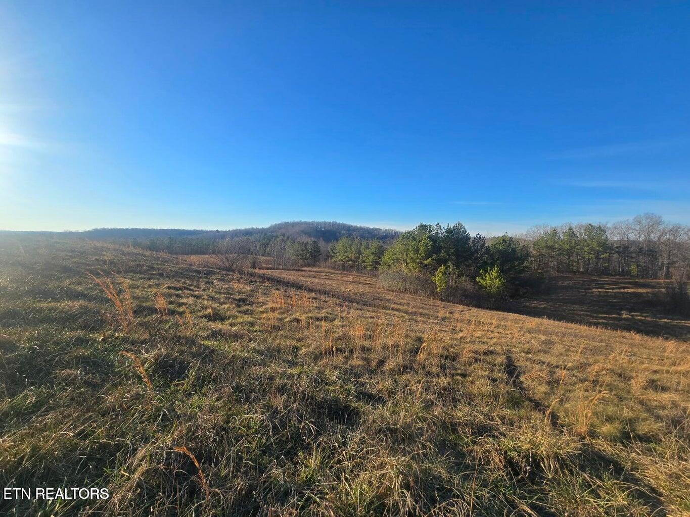 Lot 2&3 Honey Creek Loop Road Robbins TN 37852