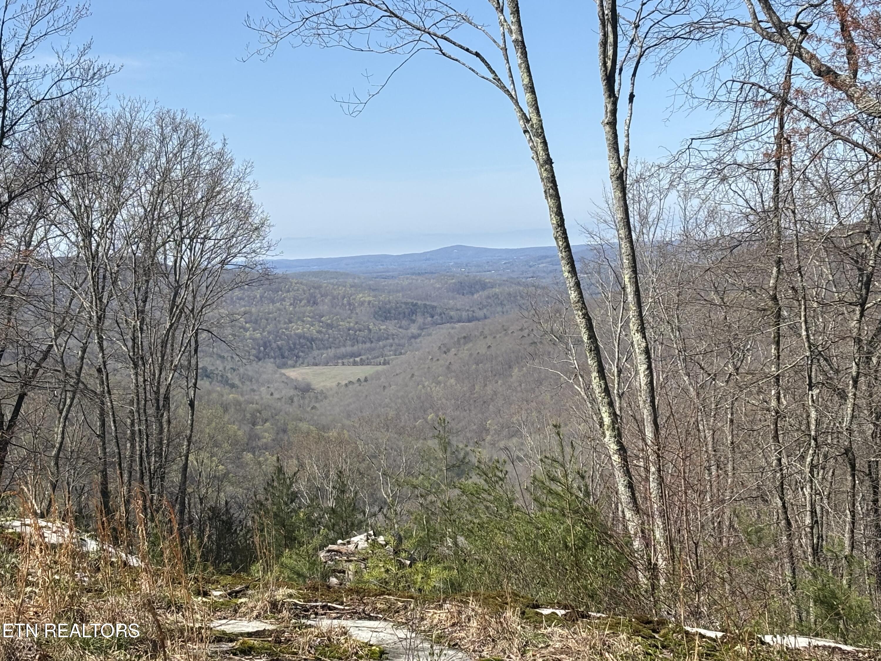 E Overlook Road Monterey TN 38574