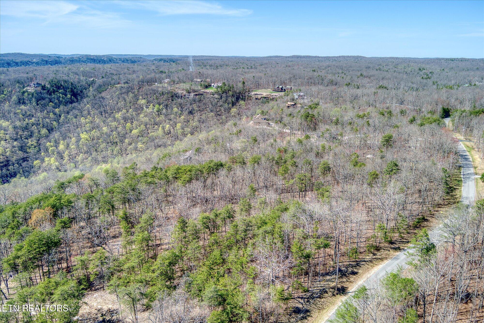 E Overlook Road Monterey TN 38574