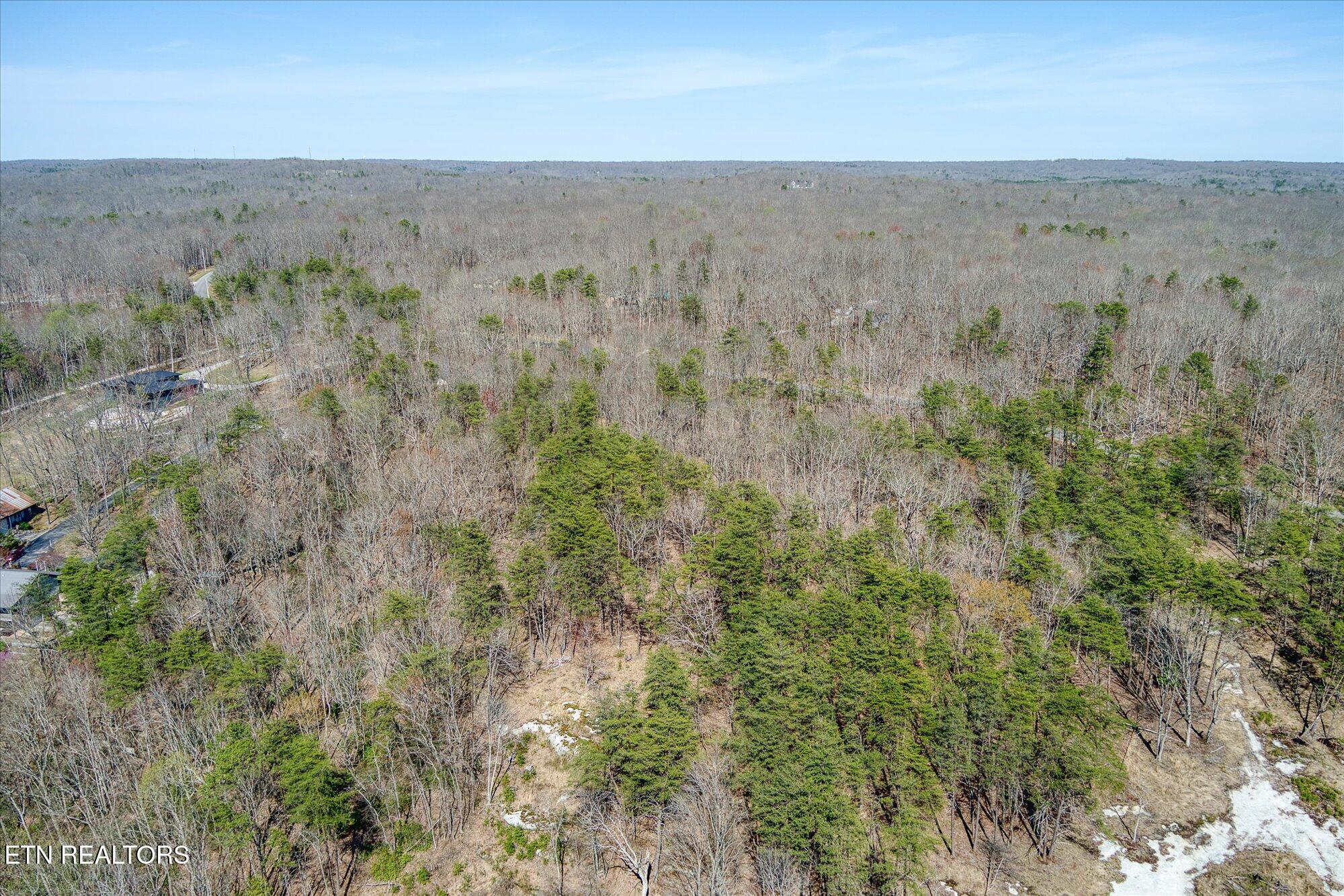 E Overlook Road Monterey TN 38574