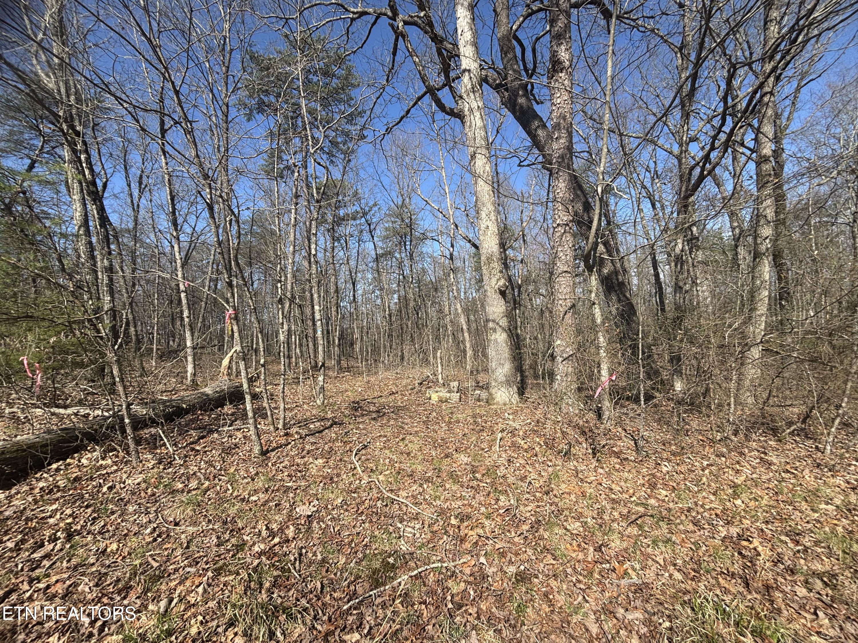 E Overlook Road Monterey TN 38574