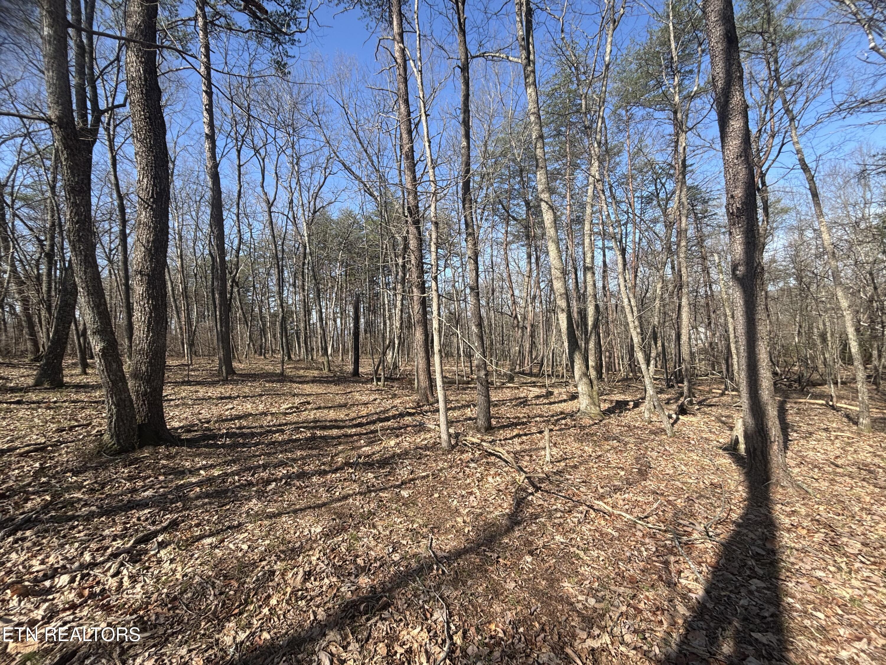 E Overlook Road Monterey TN 38574