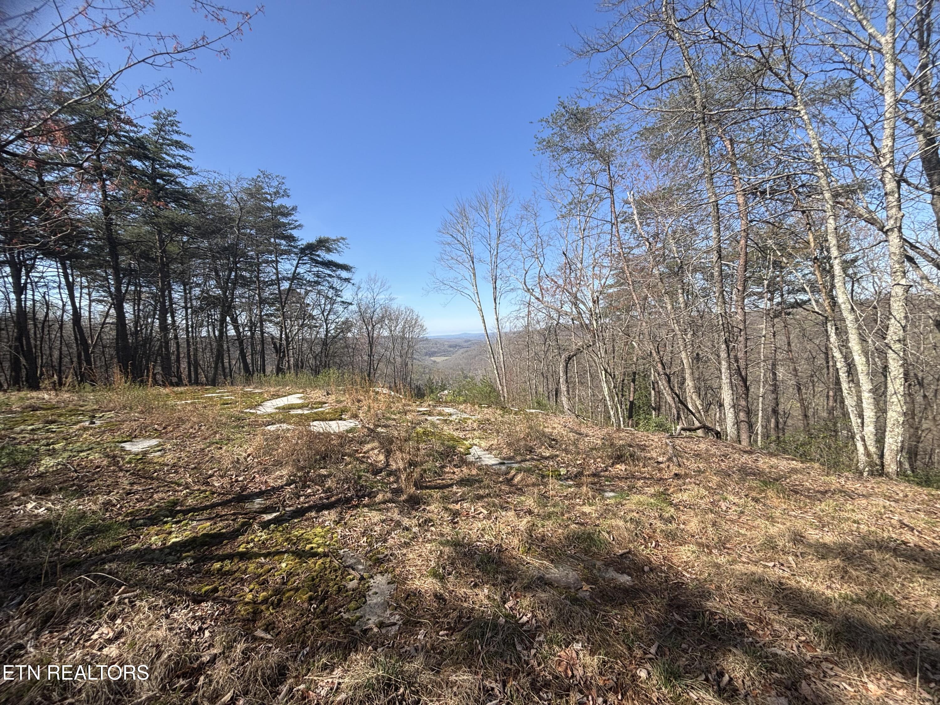 E Overlook Road Monterey TN 38574