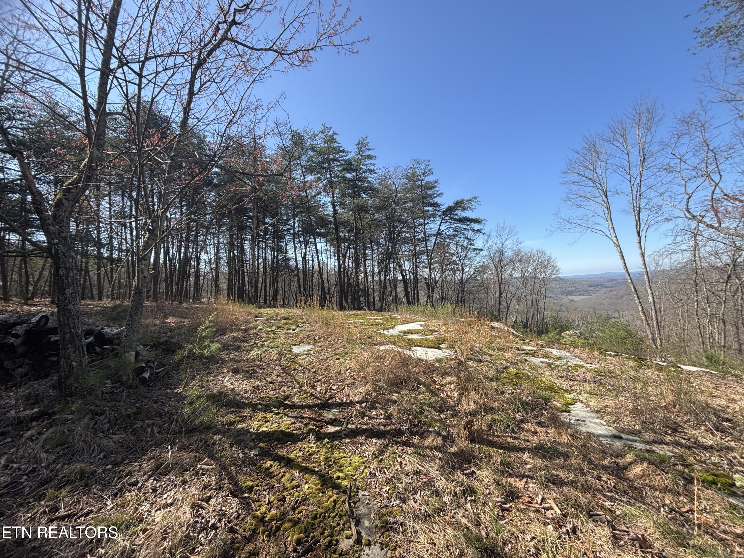 E Overlook Road Monterey TN 38574