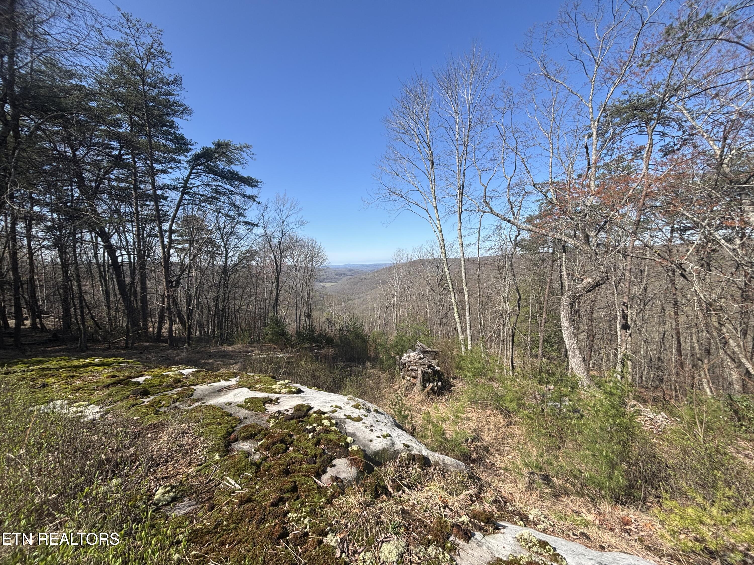 E Overlook Road Monterey TN 38574