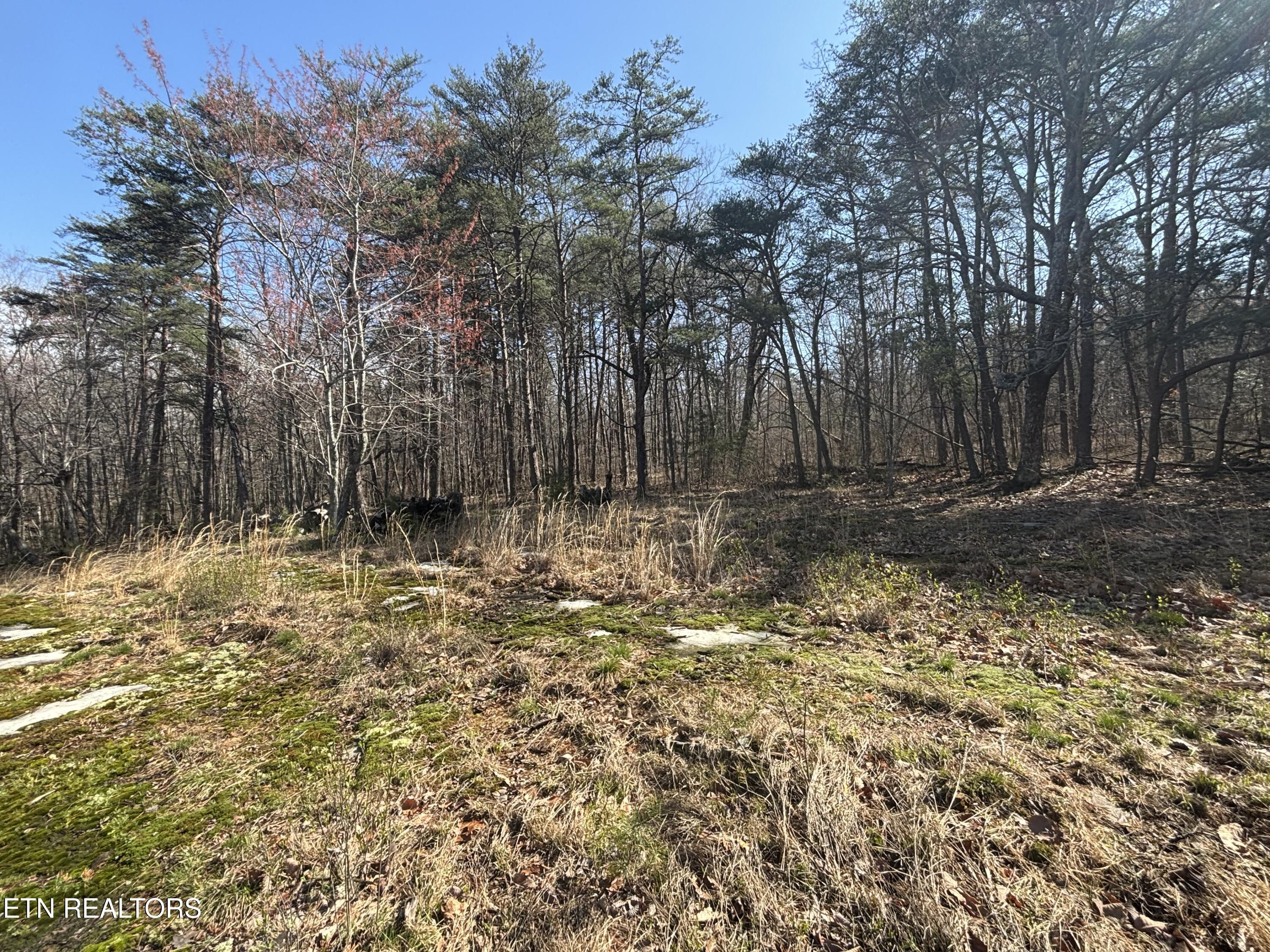 E Overlook Road Monterey TN 38574