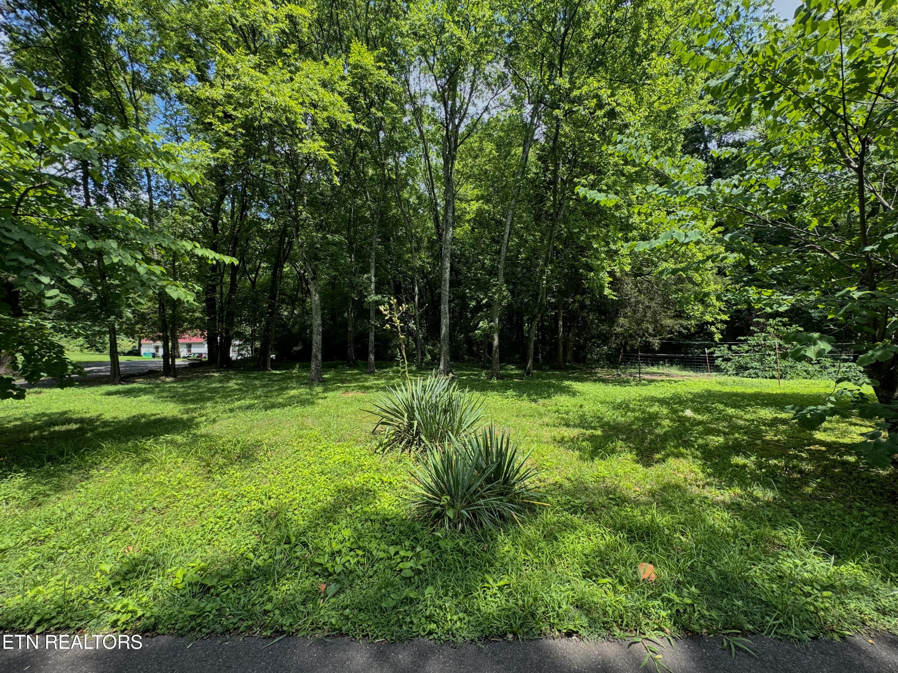 3217 Curtis Lane Knoxville TN 37918