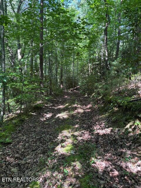 Lot 4 Old Furnace Road Tellico Plains TN 37385