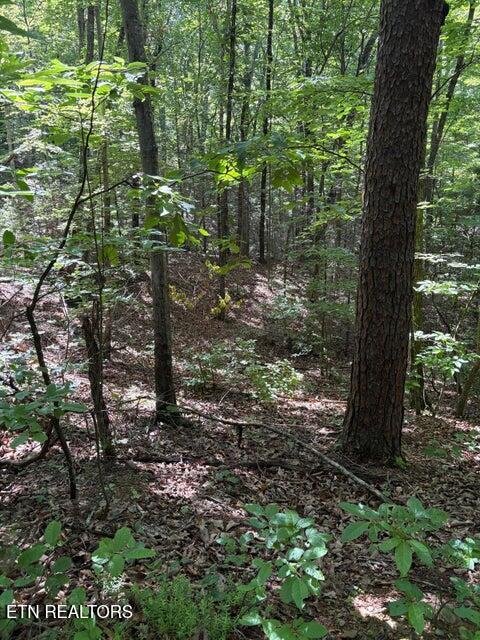 Lot 4 Old Furnace Road Tellico Plains TN 37385