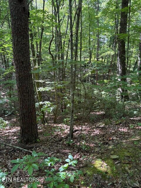 Lot 4 Old Furnace Road Tellico Plains TN 37385