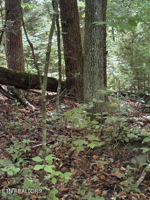 Lot 4 Old Furnace Road Tellico Plains TN 37385