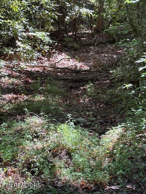 Lot 4 Old Furnace Road Tellico Plains TN 37385