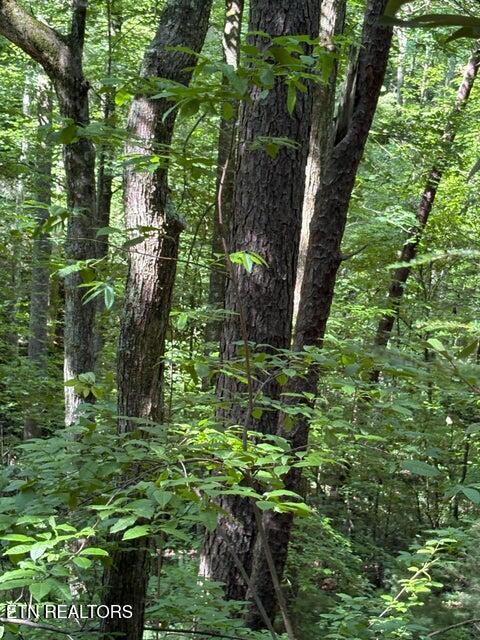Lot 4 Old Furnace Road Tellico Plains TN 37385