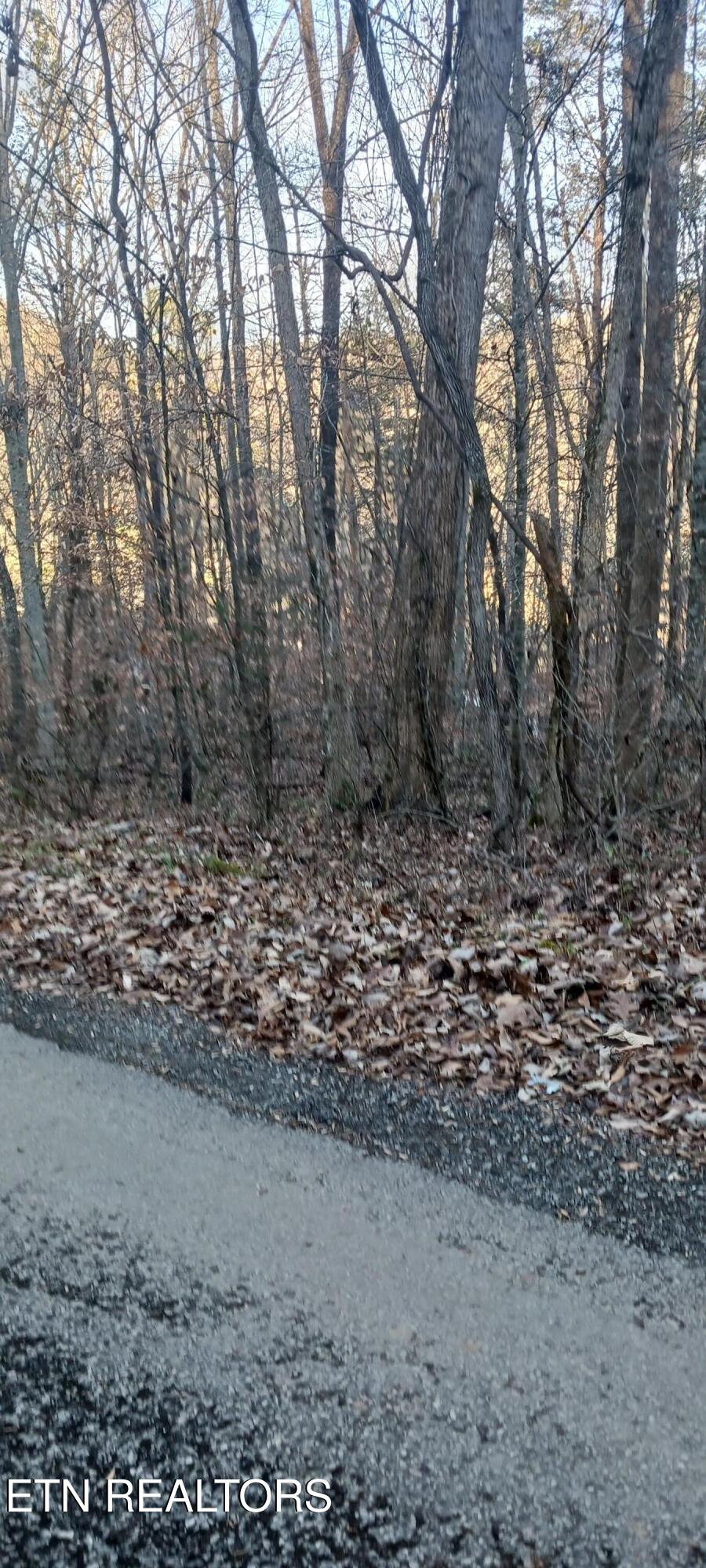 Braden Chapel Road Speedwell TN 37870