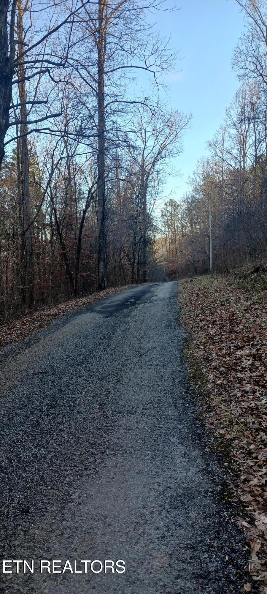 Braden Chapel Road Speedwell TN 37870