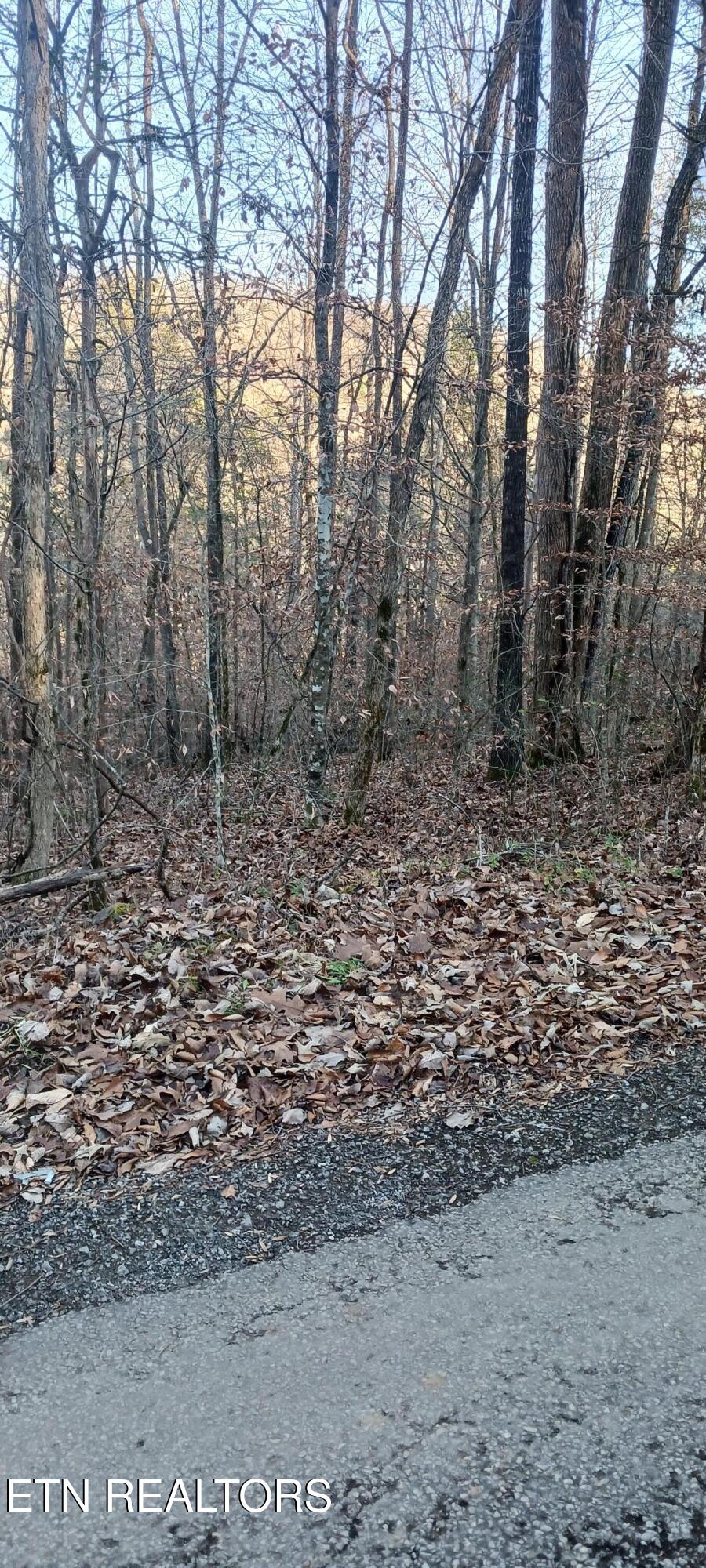 Braden Chapel Road Speedwell TN 37870