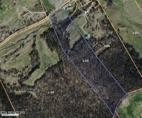 Hogskin Road Washburn TN 37888