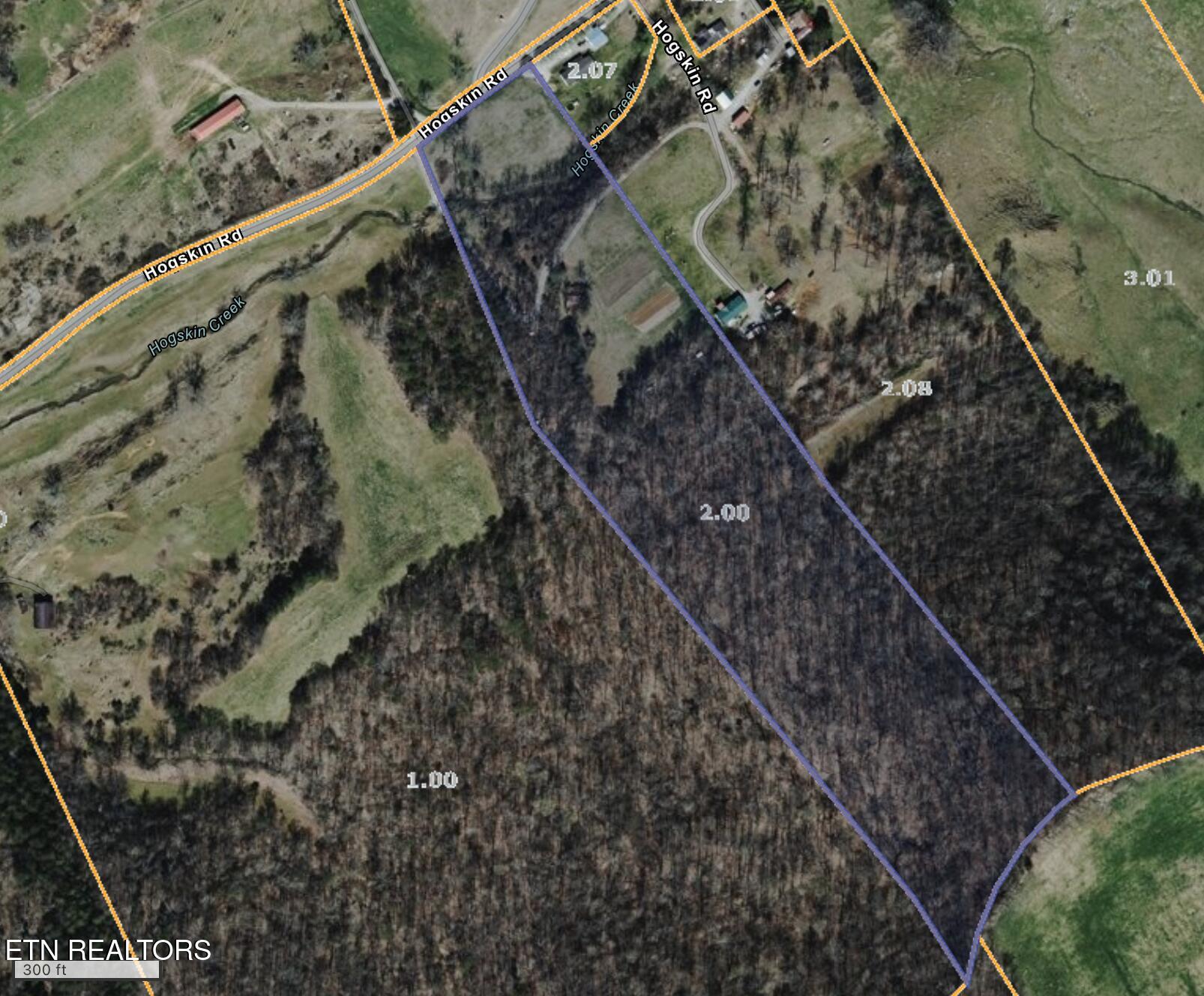 Hogskin Road Washburn TN 37888