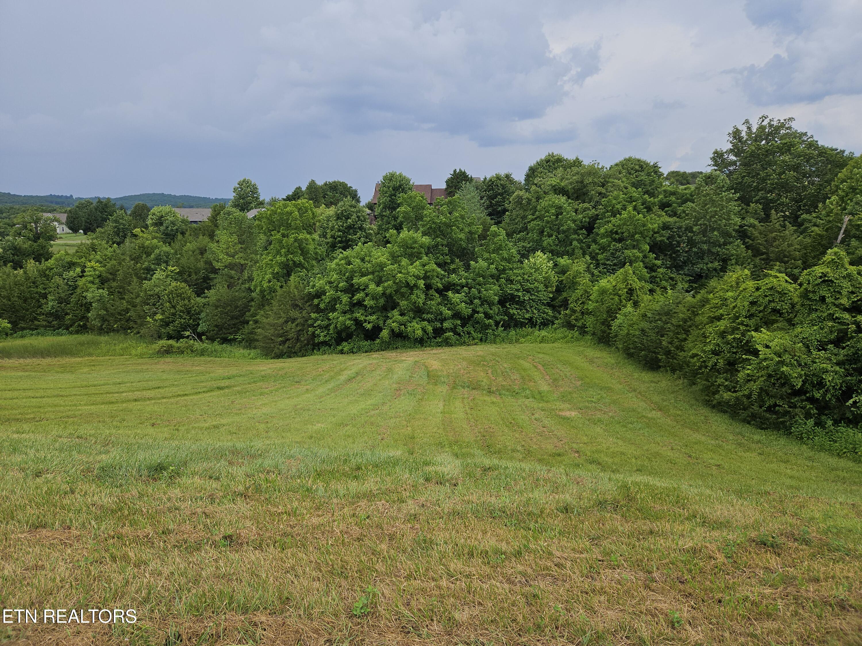 Lot 197 Captains Cove Sharps Chapel TN 37866