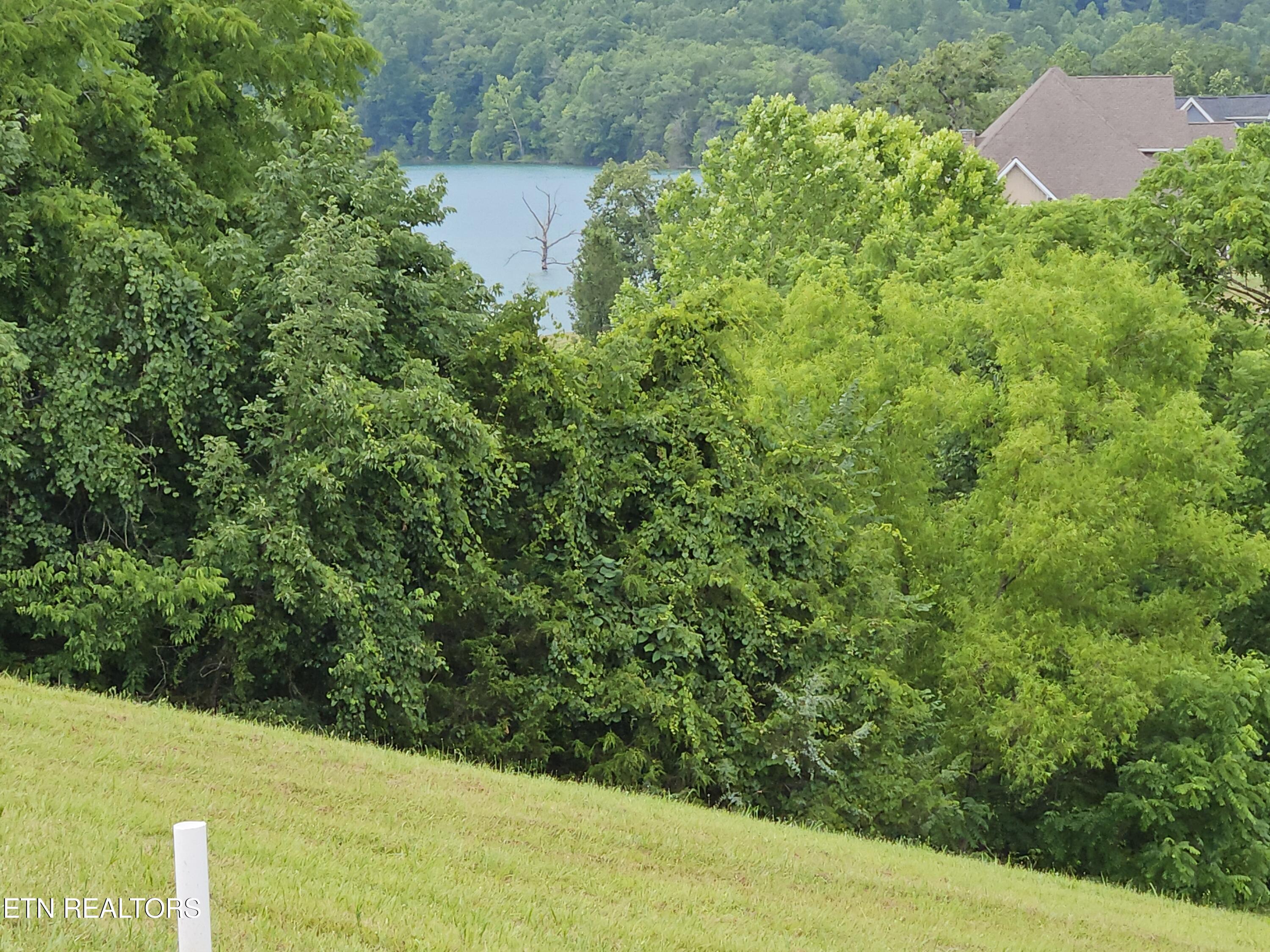 Lot 197 Captains Cove Sharps Chapel TN 37866