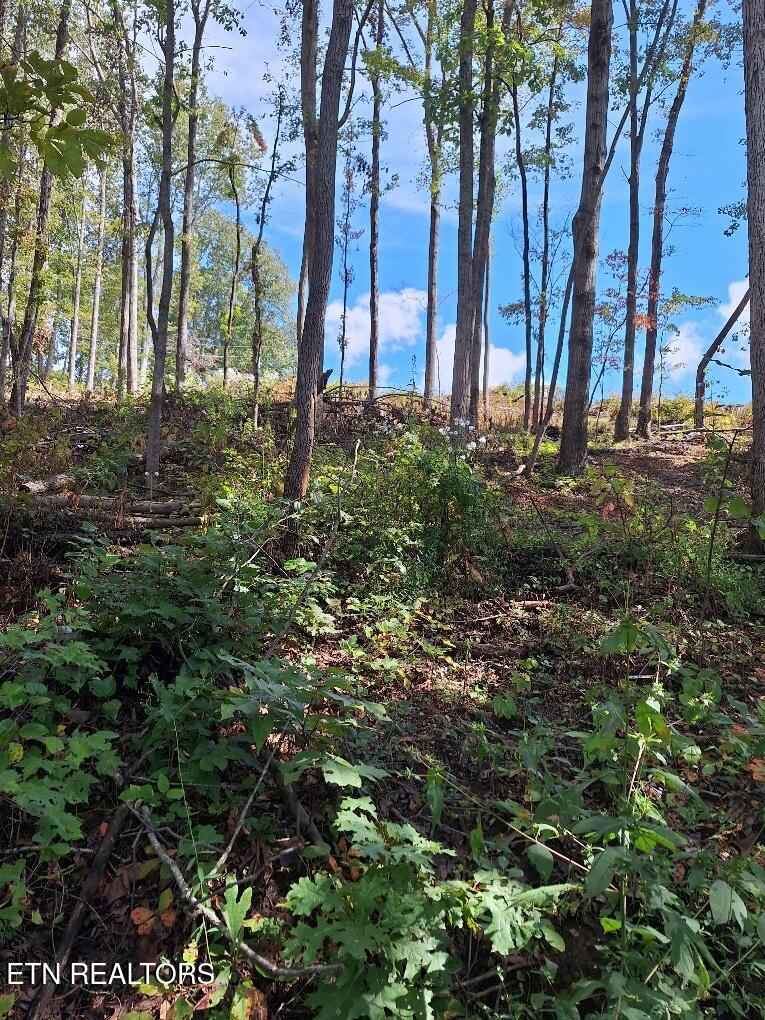 Old Cave Springs Road Tazewell TN 37879