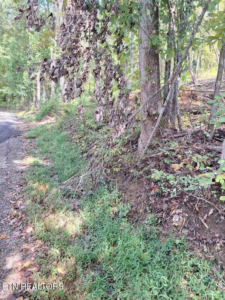 Old Cave Springs Road Tazewell TN 37879