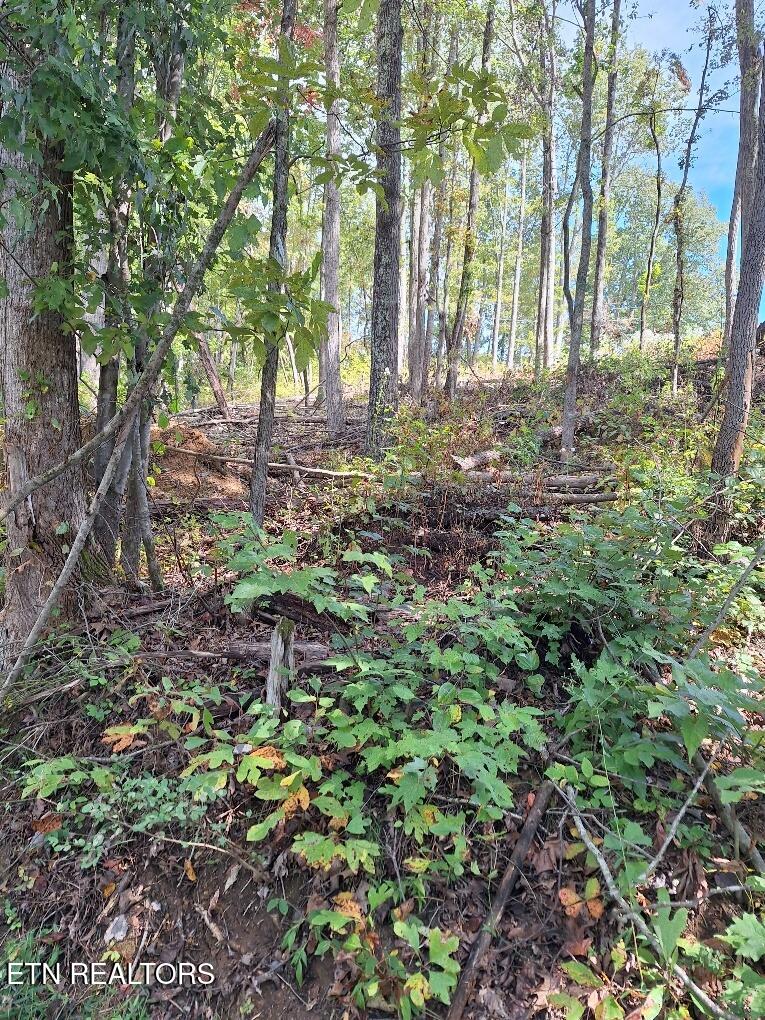 Old Cave Springs Road Tazewell TN 37879