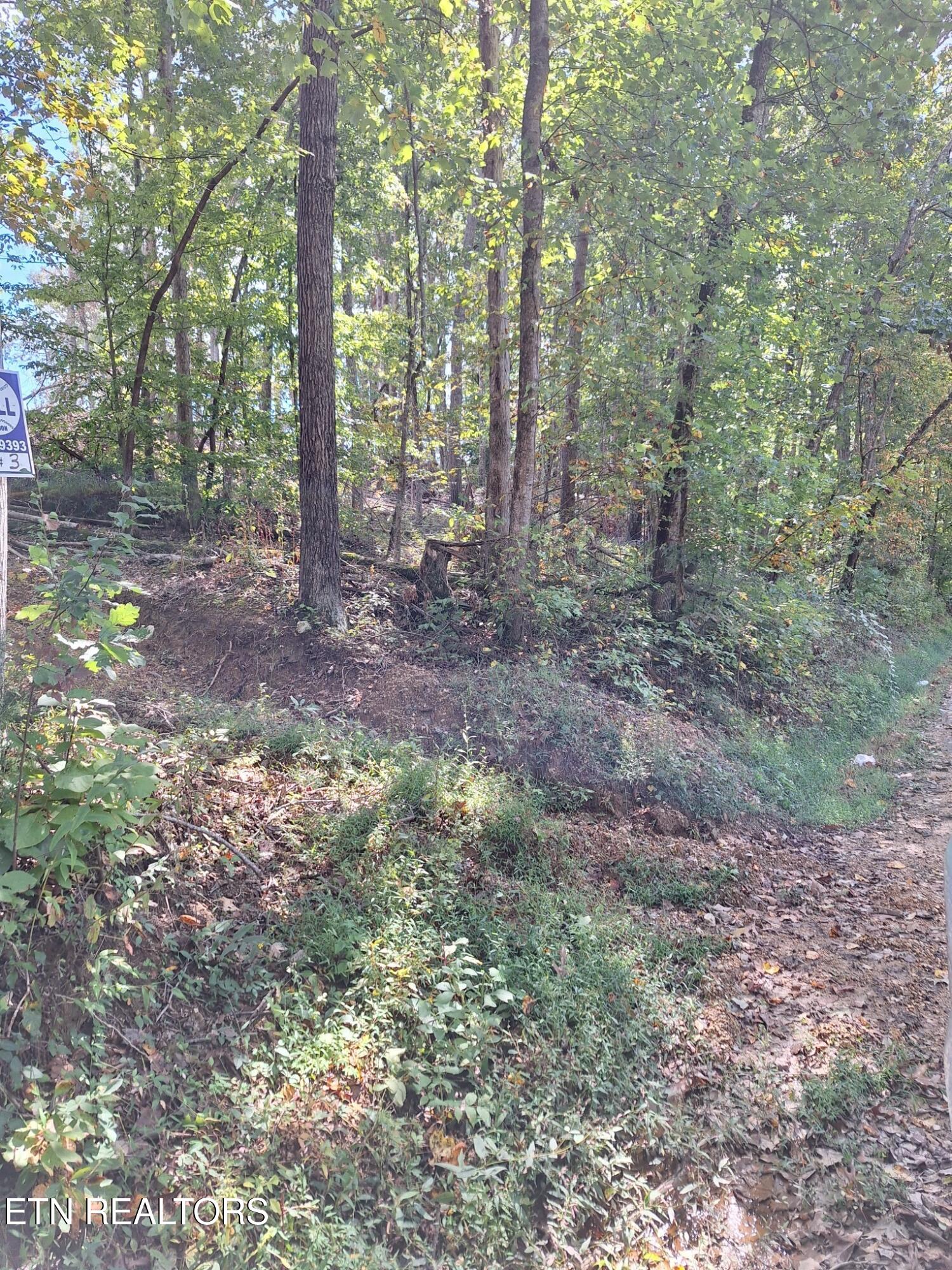 Old Cave Springs Road Tazewell TN 37879