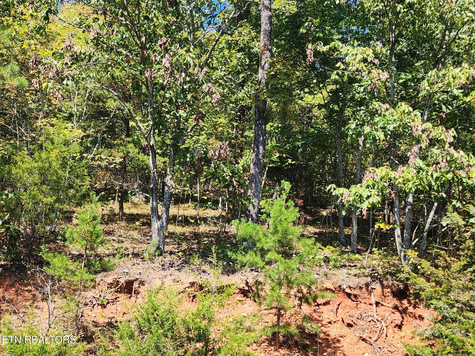 Lot 609 Chimney Rock Road New Tazewell TN 37825