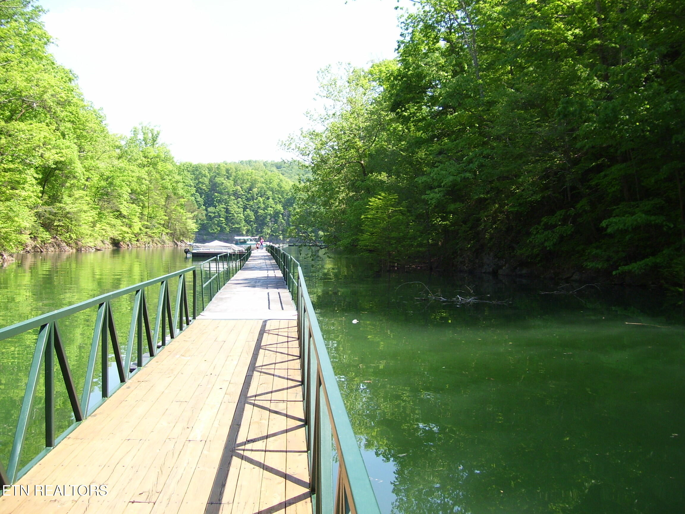 Lot 609 Chimney Rock Road New Tazewell TN 37825