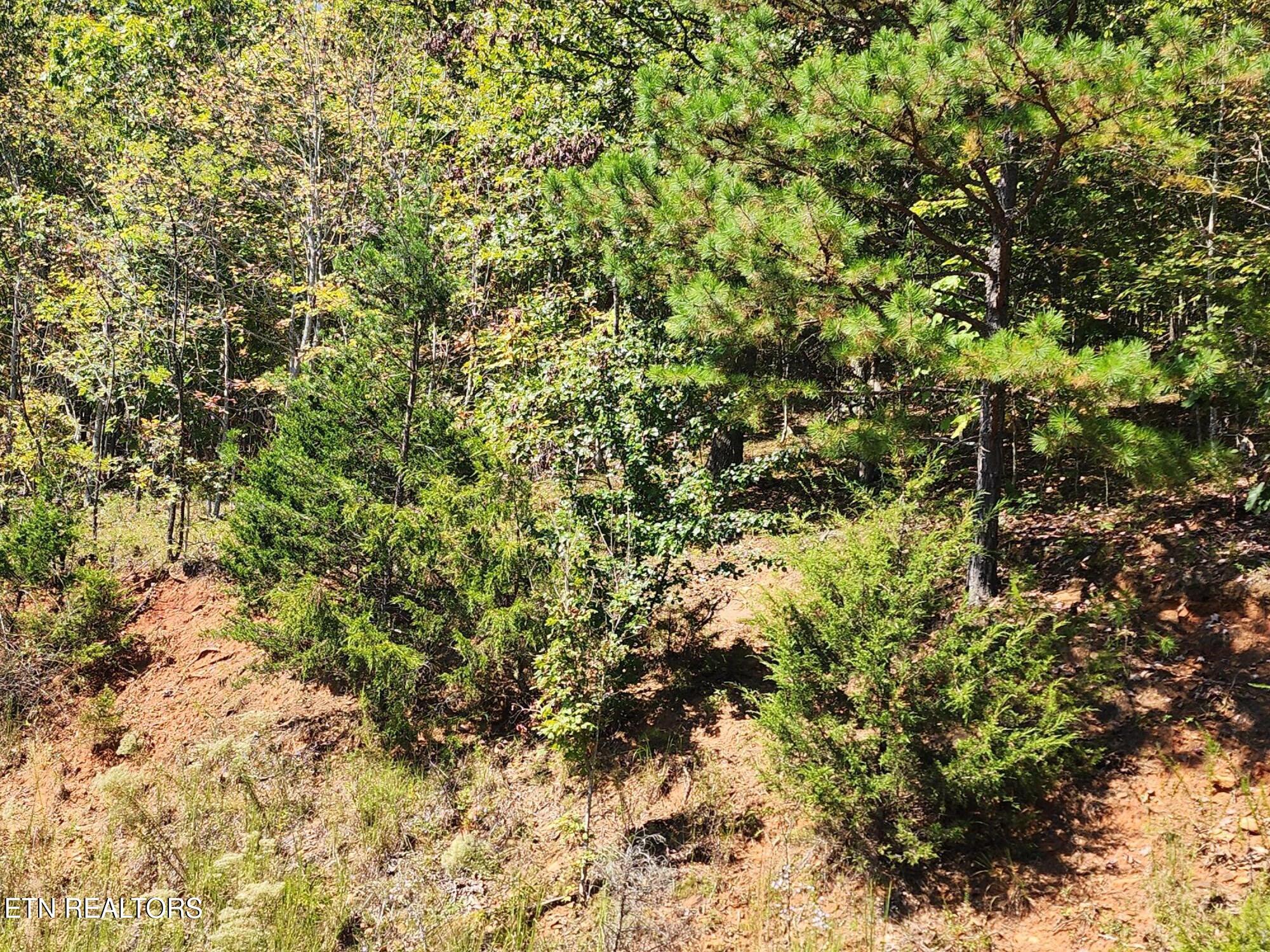 Lot 609 Chimney Rock Road New Tazewell TN 37825
