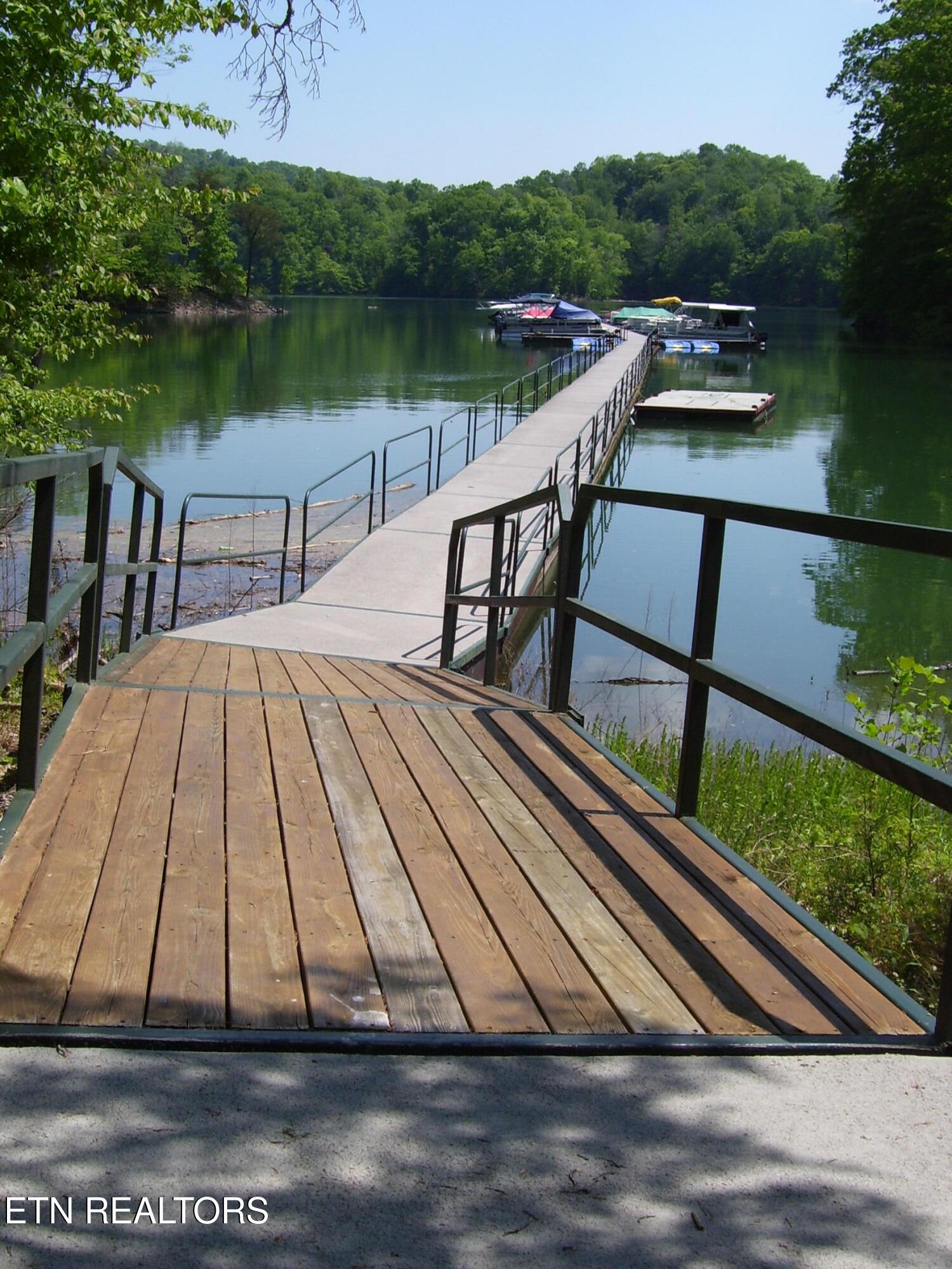 Lot 609 Chimney Rock Road New Tazewell TN 37825