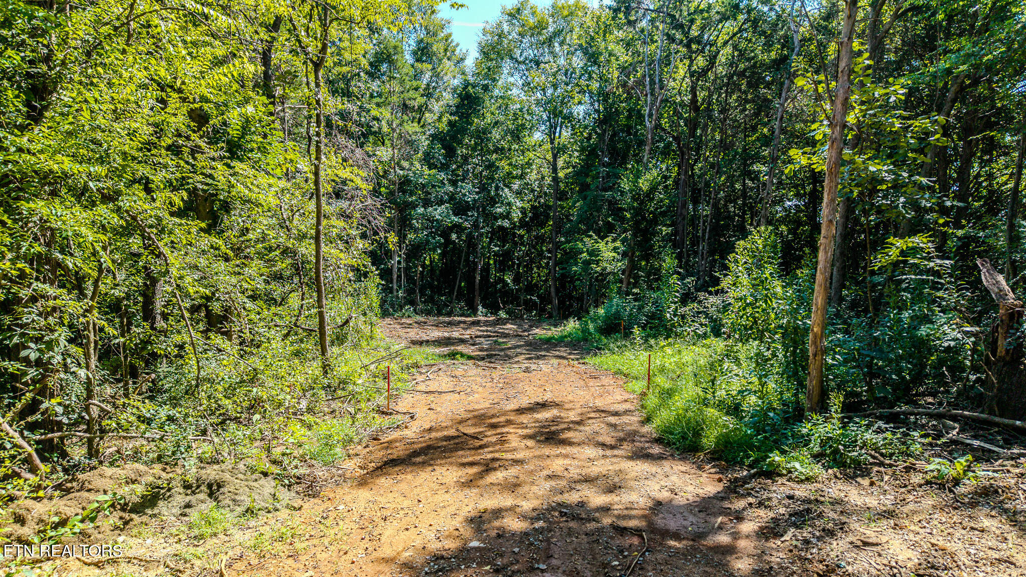 Dunraven-wickersham-kimbrough Drive Knoxville TN 37922