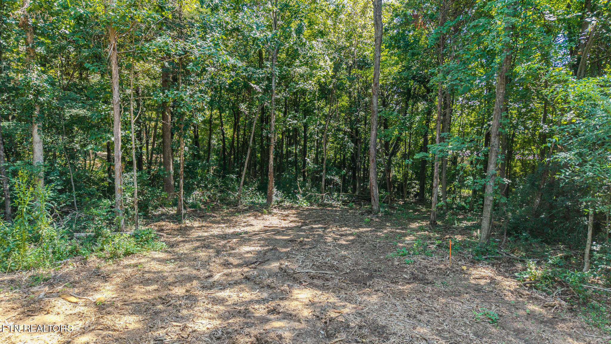 Dunraven-wickersham-kimbrough Drive Knoxville TN 37922