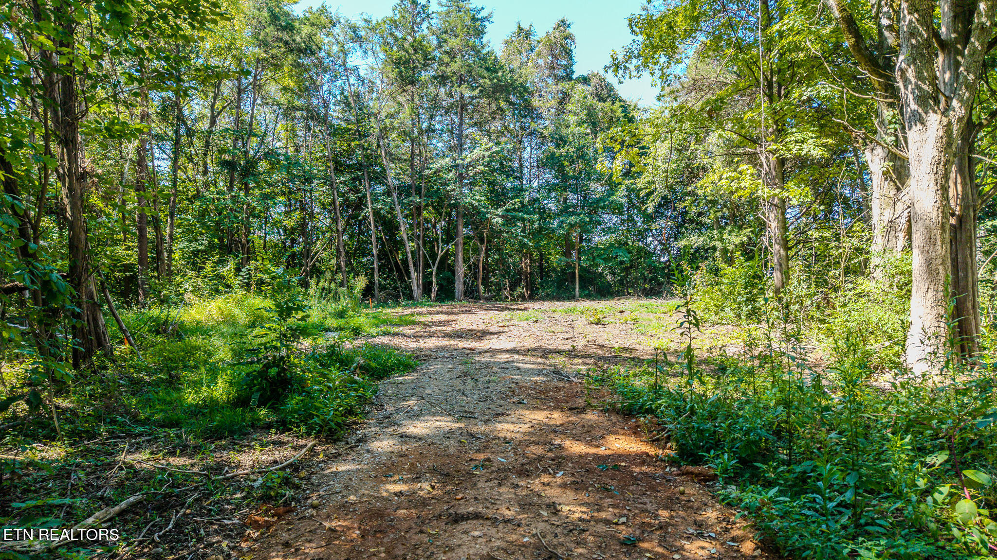 Dunraven-wickersham-kimbrough Drive Knoxville TN 37922