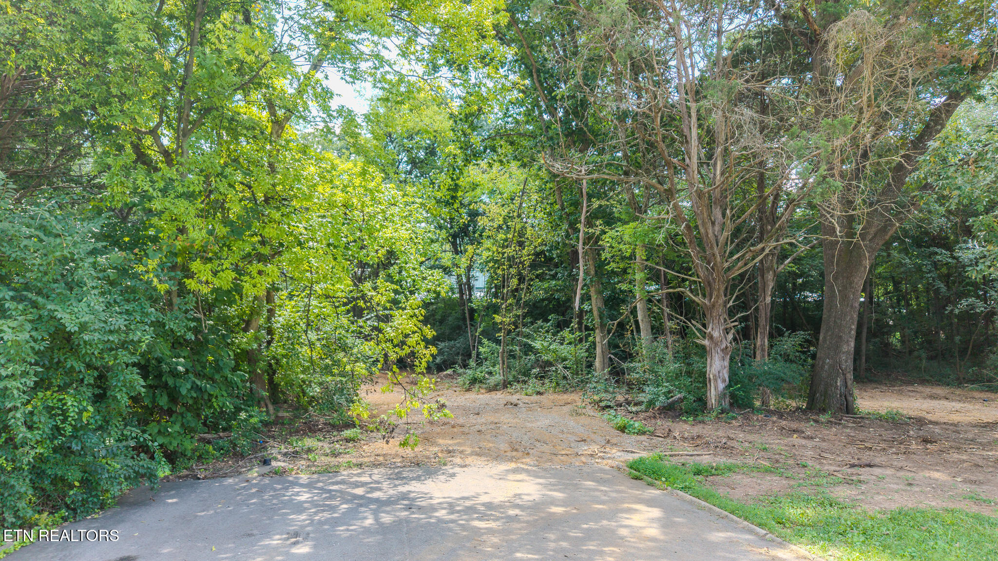 Dunraven-wickersham-kimbrough Drive Knoxville TN 37922