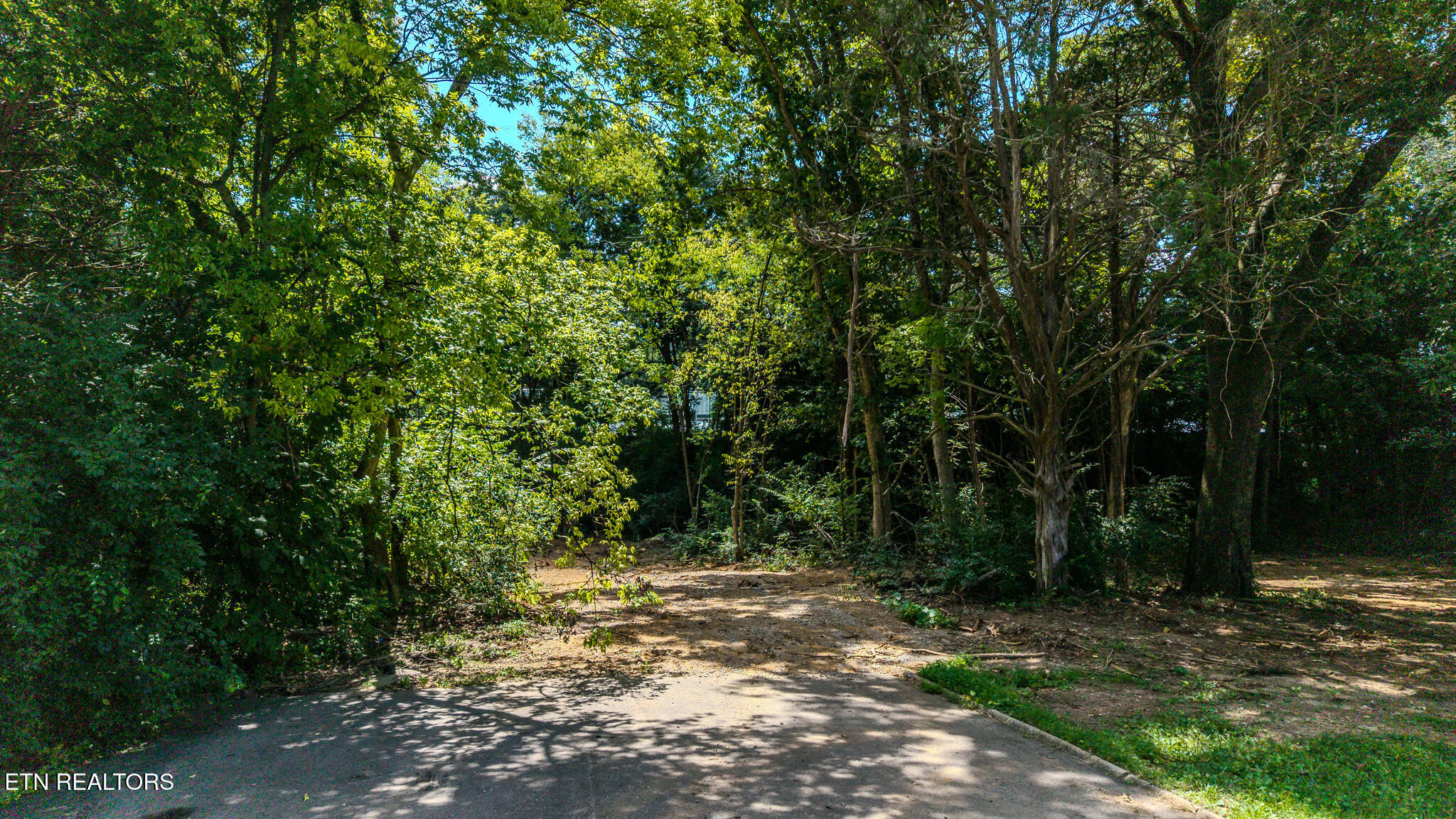 Dunraven-wickersham-kimbrough Drive Knoxville TN 37922