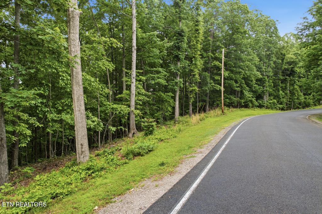 0 Serenity Ridge Road Sparta TN 38583