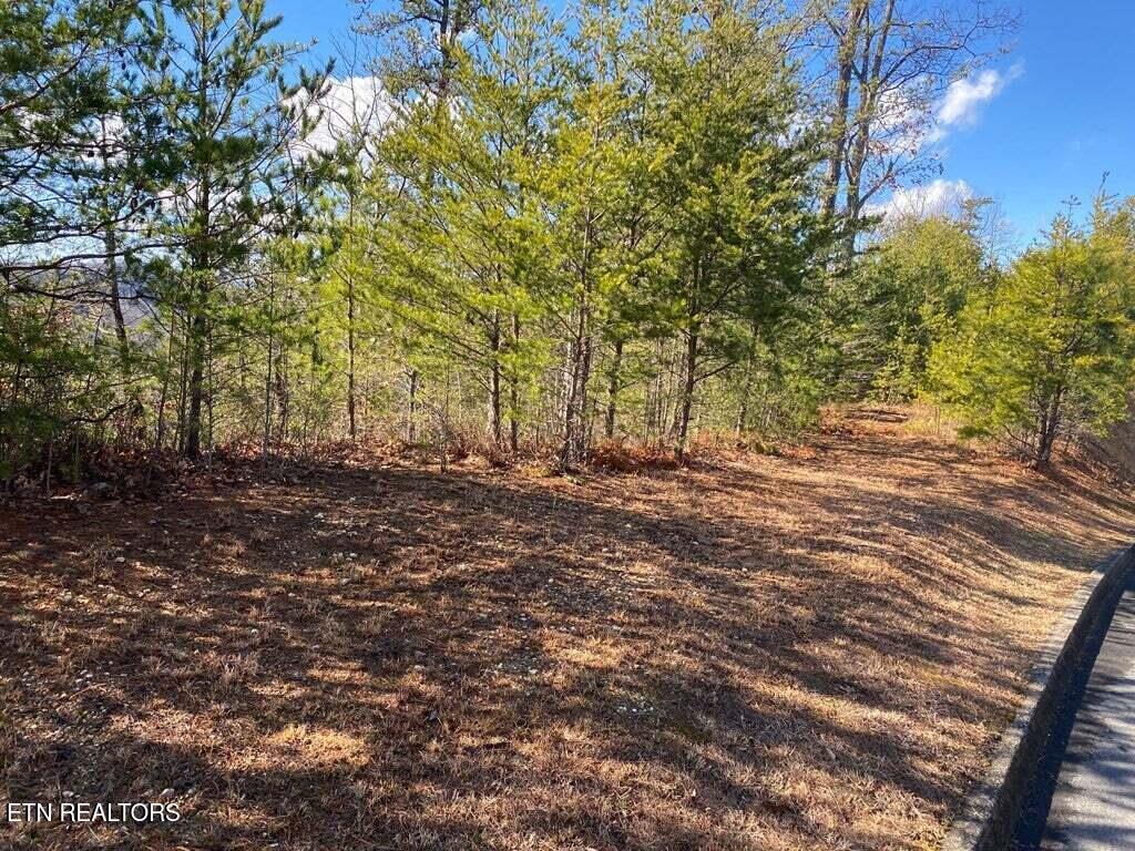 1824 Pinestand Ridge Way Sevierville TN 37862