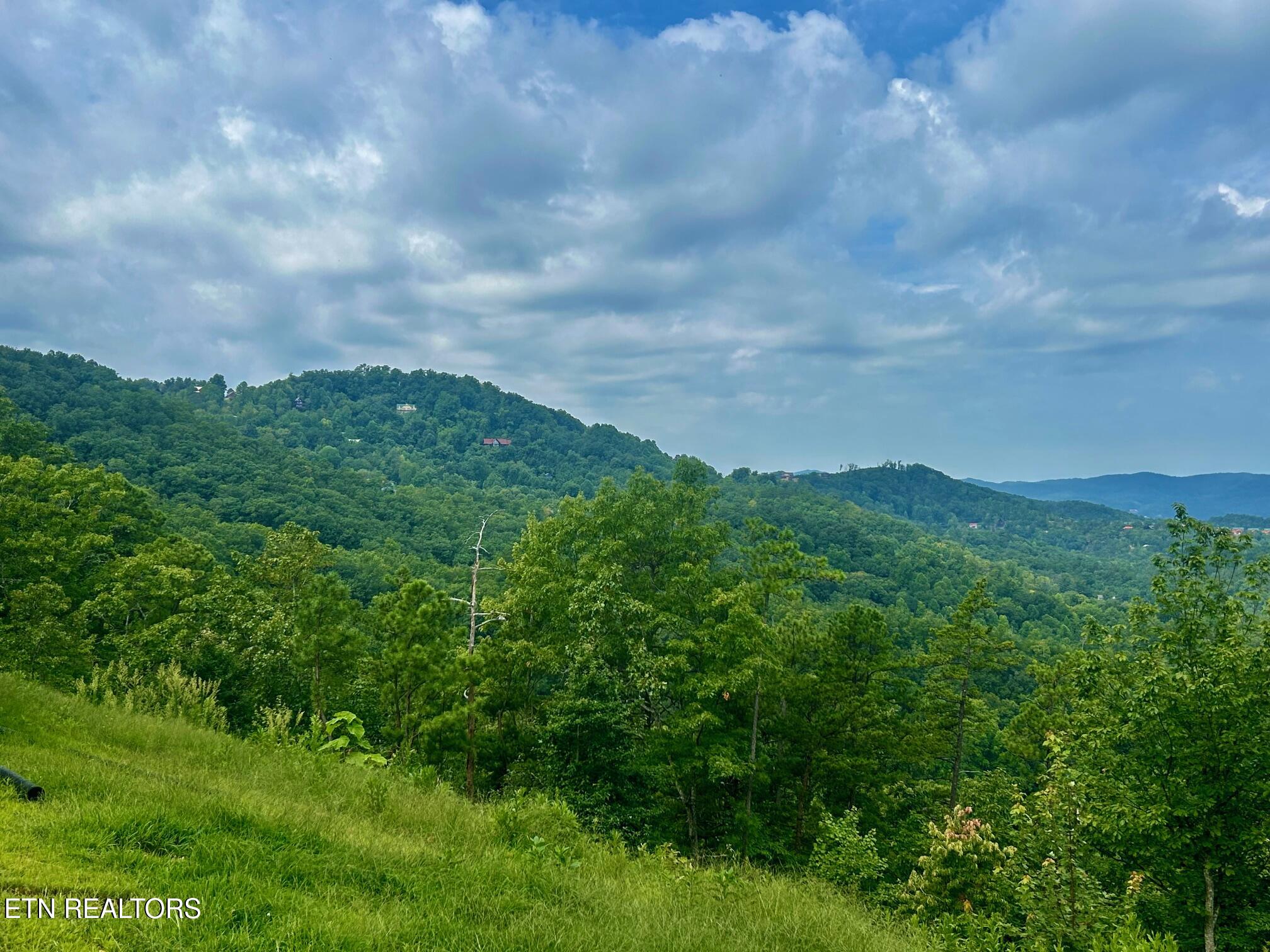 1824 Pinestand Ridge Way Sevierville TN 37862