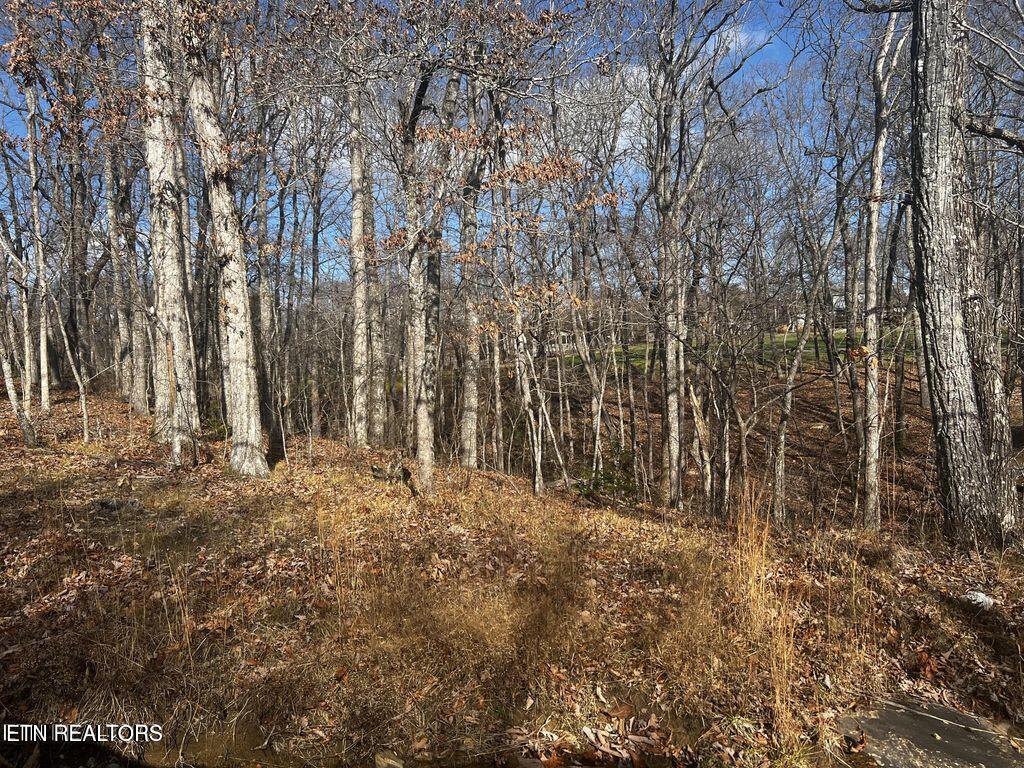 130 Baltusrol Road Crossville TN 38558