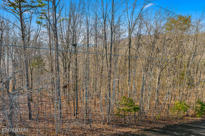 Overton Road Lot 18/19 Maynardville TN 37807