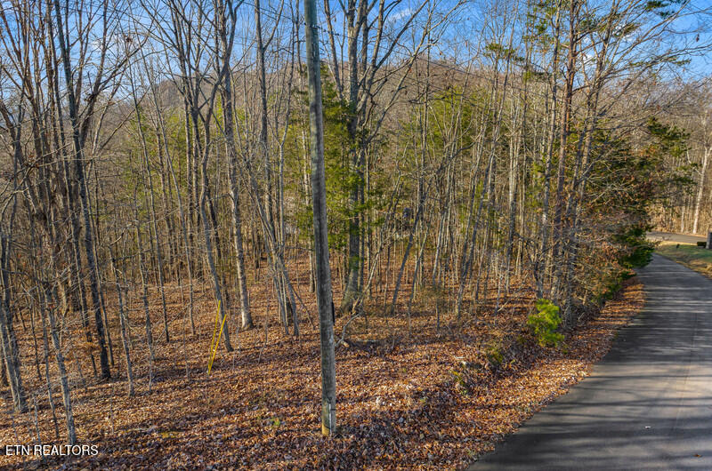 Overton Road Lot 18/19 Maynardville TN 37807