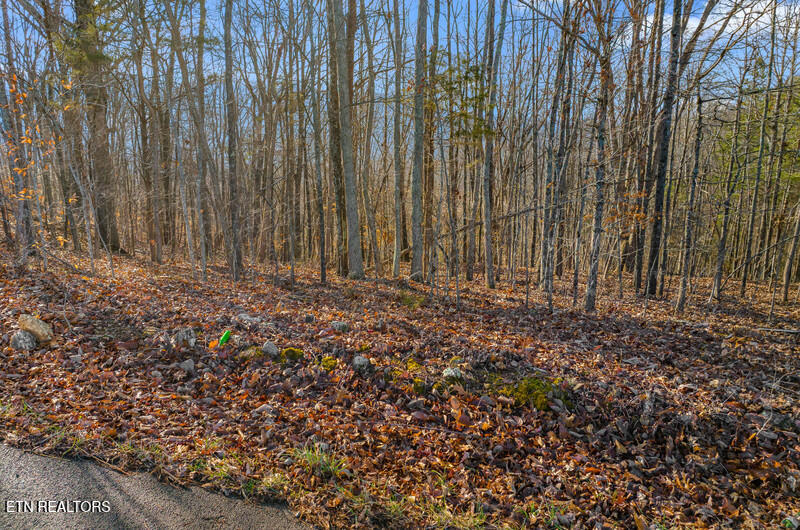 Overton Road Lot 18/19 Maynardville TN 37807